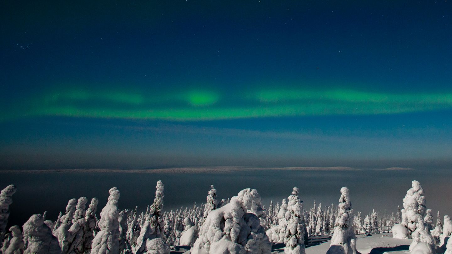 Northern Lights Finland, Syöte
