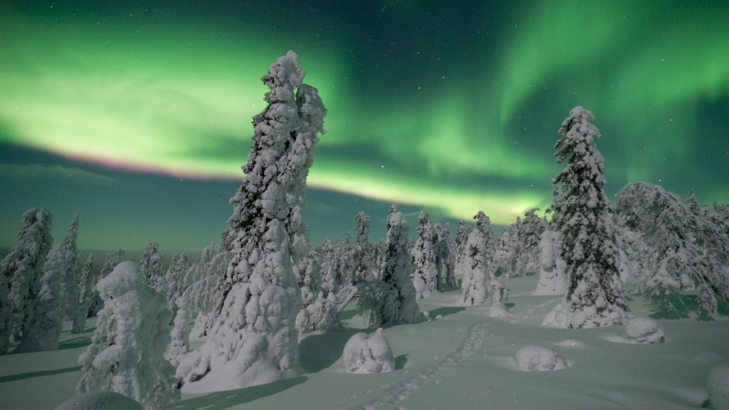 form alliance metal 8 Best Places to see Northern Lights | Visit Finnish Lapland