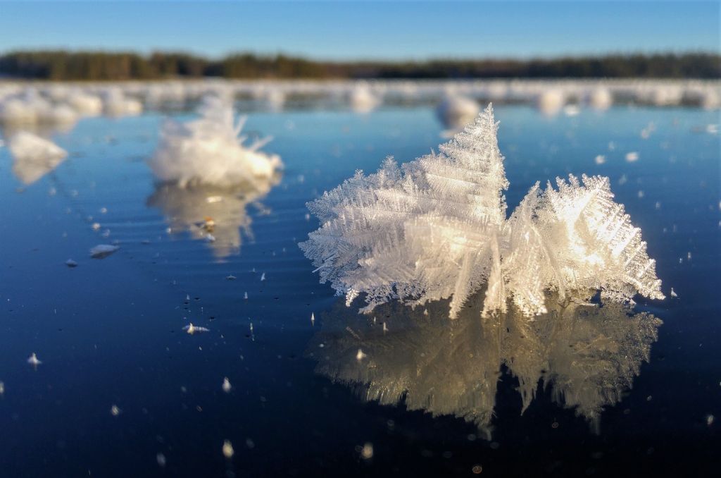 Frost on ice - Lapland wilderness photographer