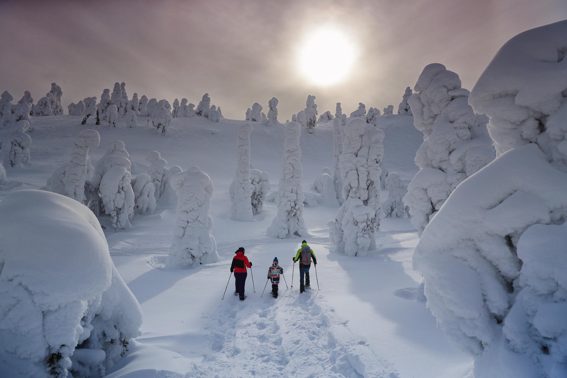 visit finland in winter