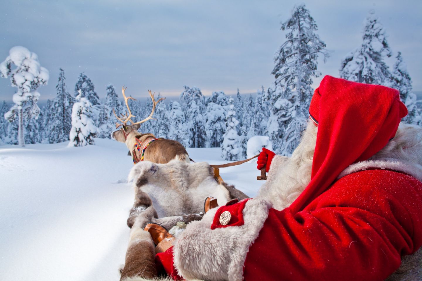 Santa Claus reindeer ride in Rovaniemi, Finland