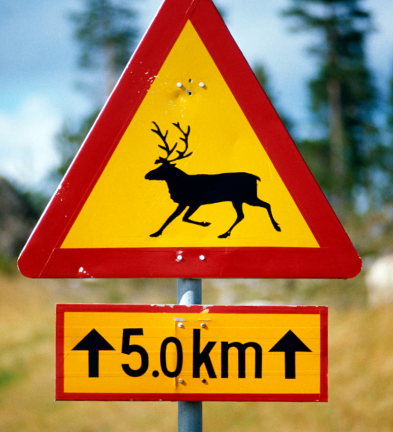 reindeer road sign in Lapland, Finland