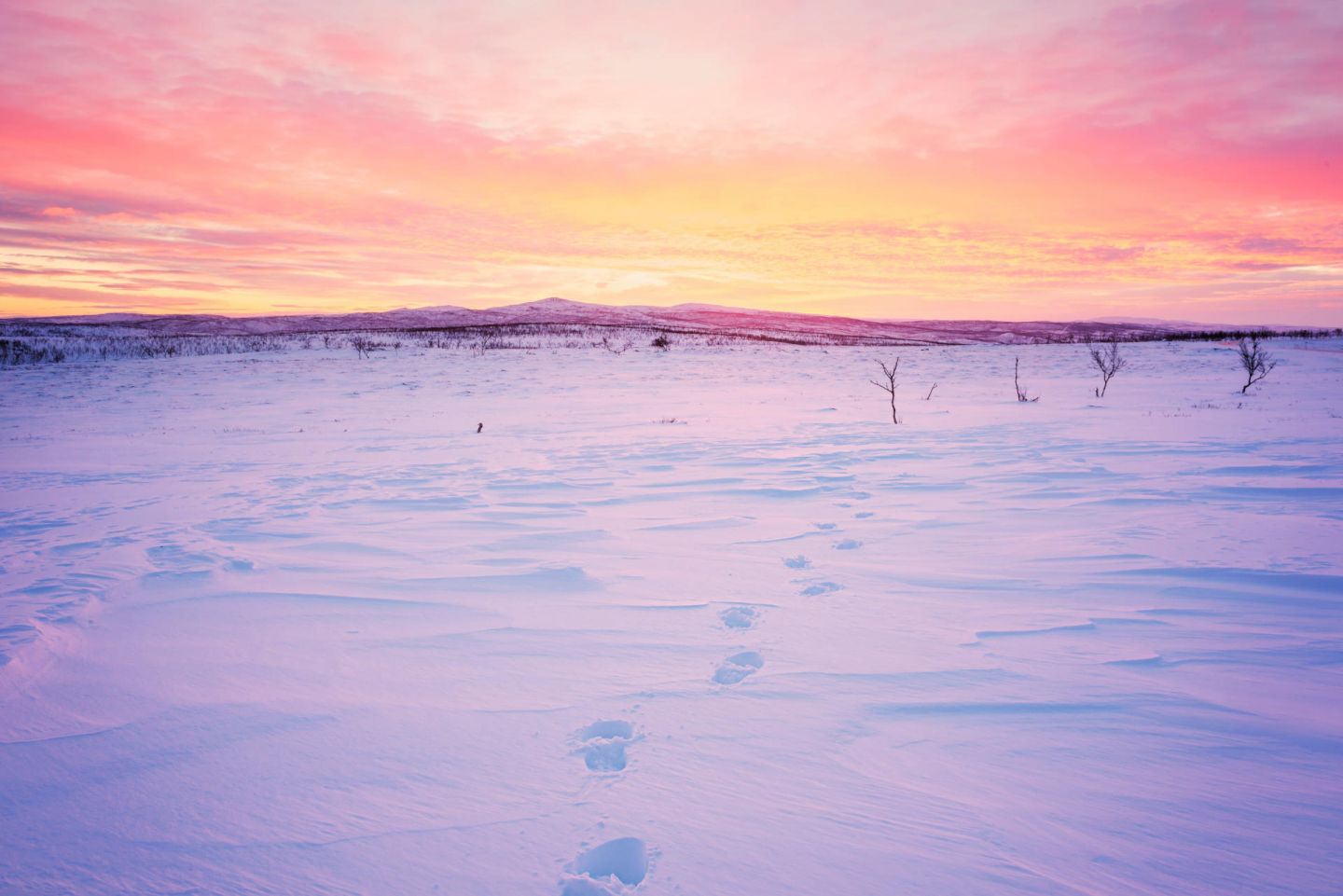 Footsteps in the snow in Nuorgam, Lapland at sunset