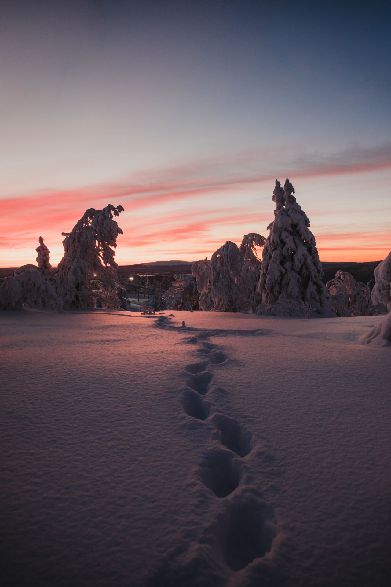 Lapland Winter Photography, Levi, Polar Night