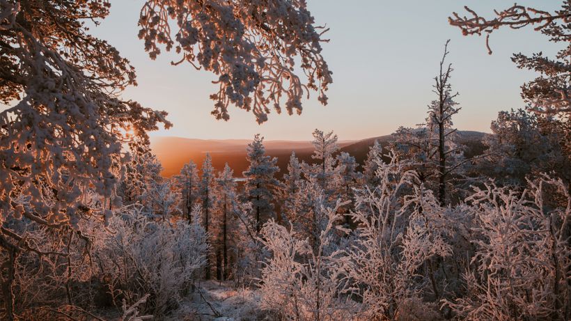 Lapland Winter Photography, Levi, Polar Night