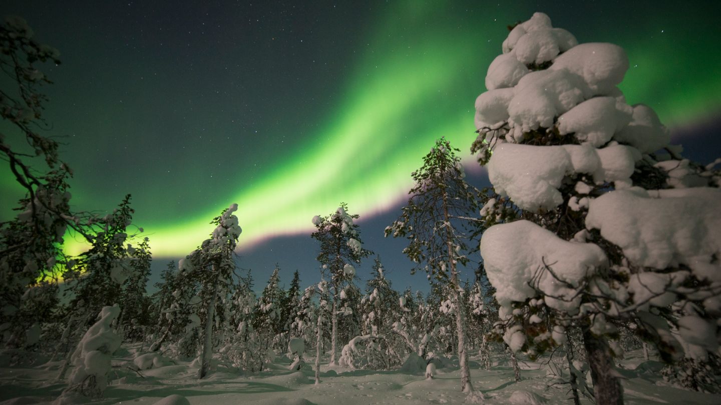 Northern Lights in Levi, Snow Flower, Finland Lapland