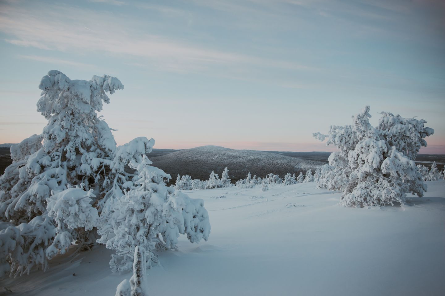 Arctic landscape, Lapland Winter Photography, Levi, Polar Night