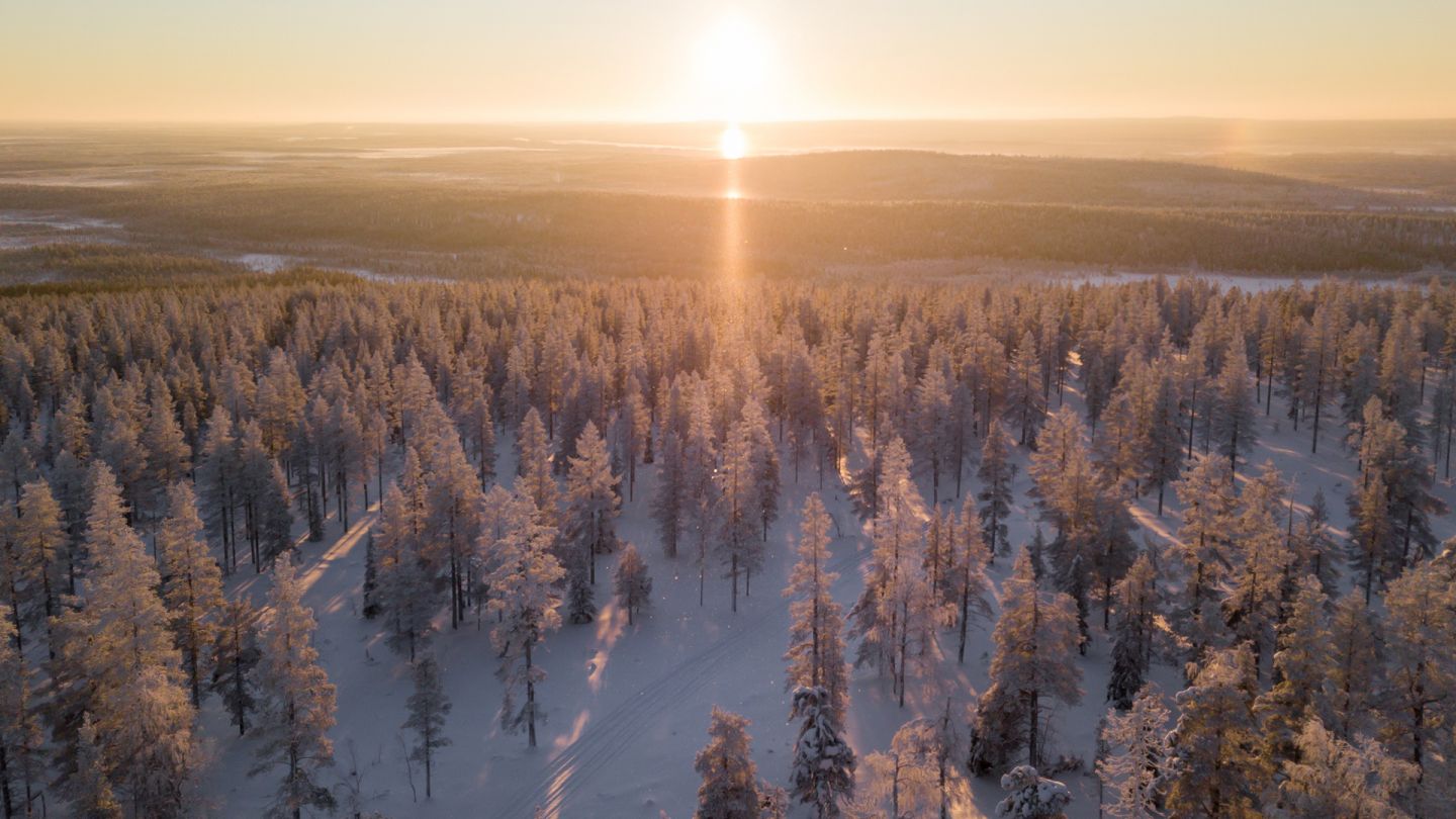 Levi winter, SnowFlower, Finland, Lapland