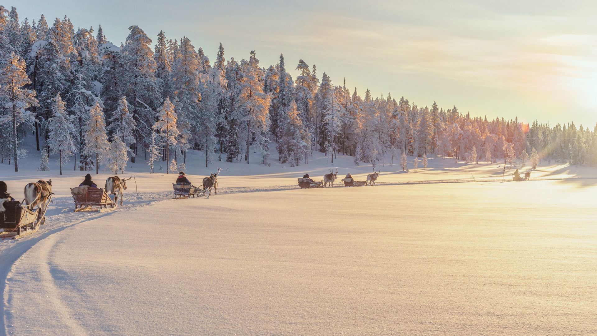 Salla Reindeer Park, Lapland Winter Bucket List