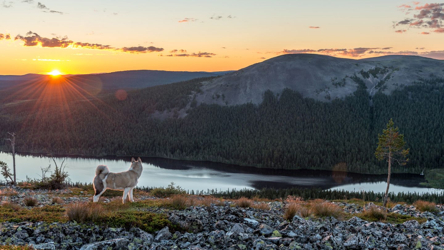 Auringonlasku Yllästunturilla.