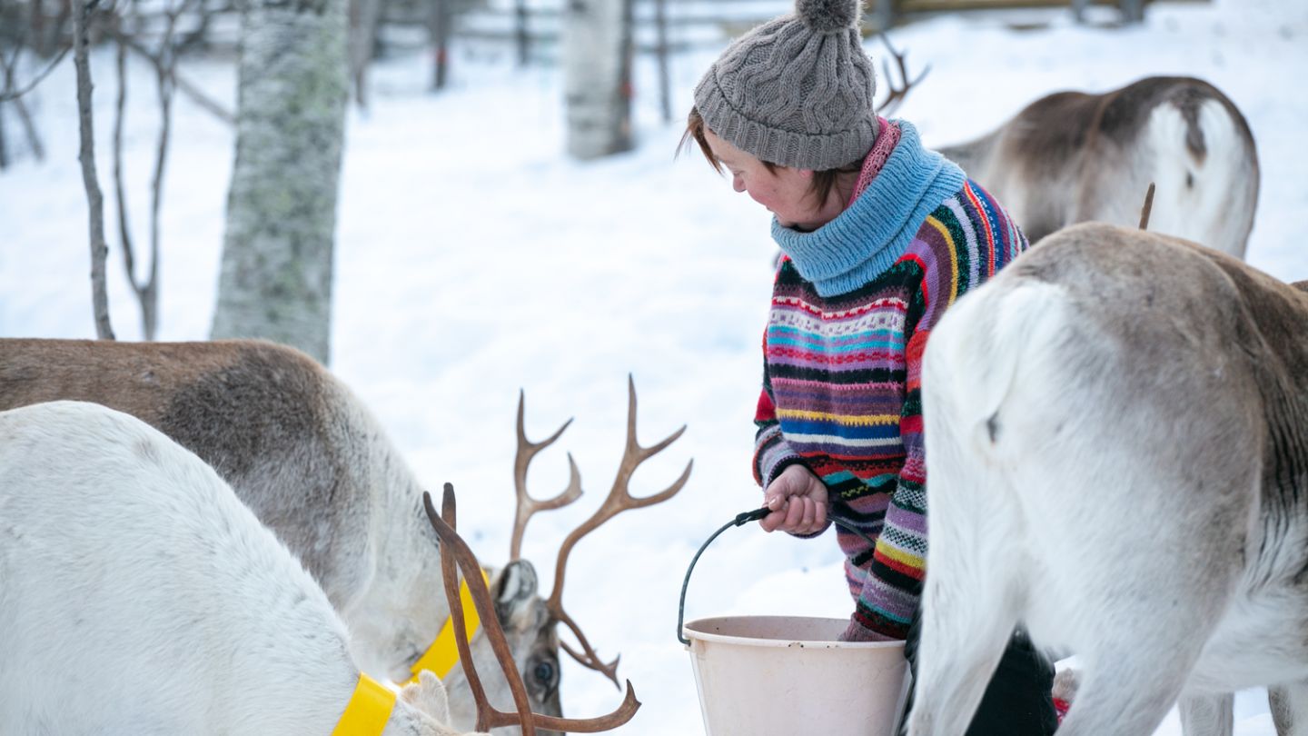 Kuttura Lapland, Remote Holiday Destination