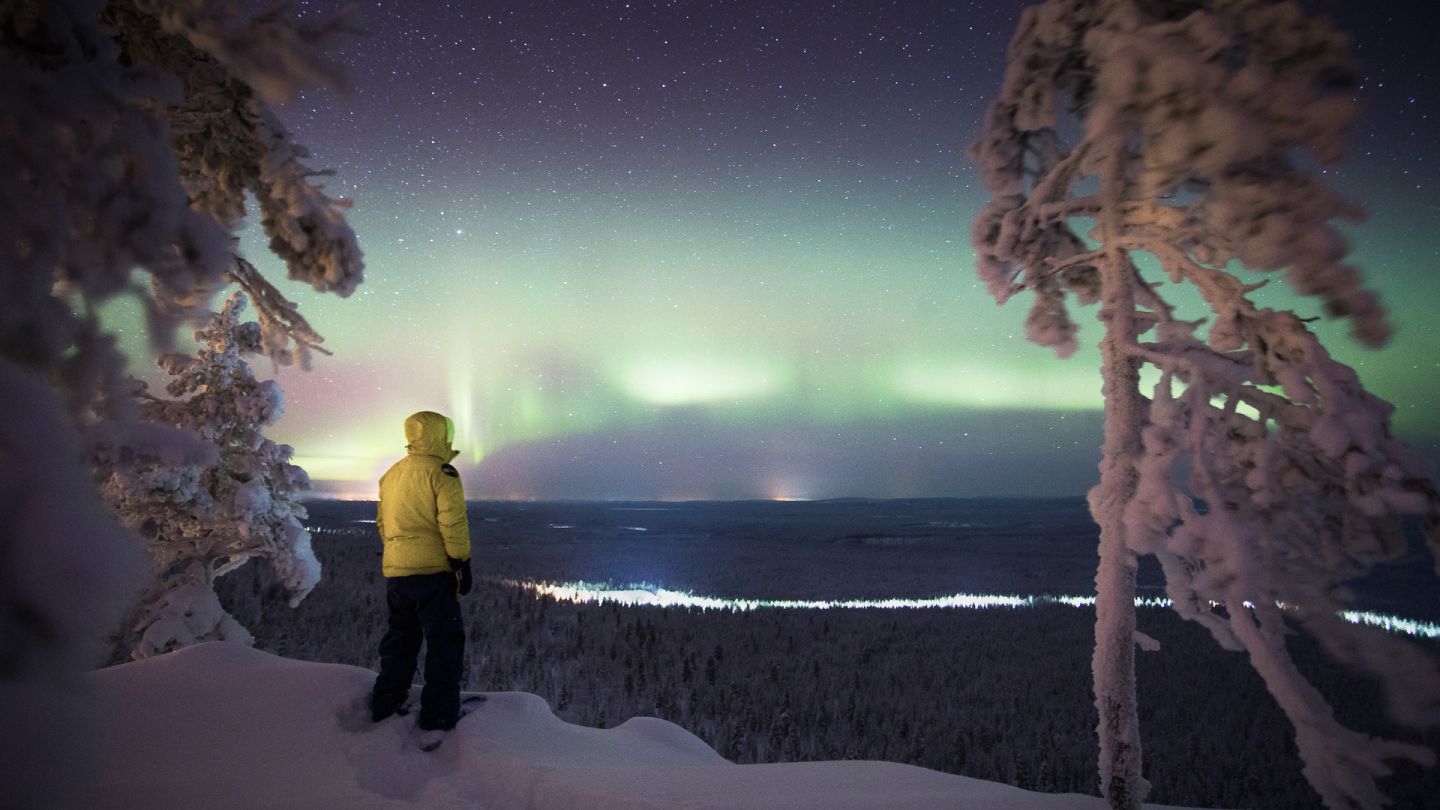 Revontulia talvitaivaalla.