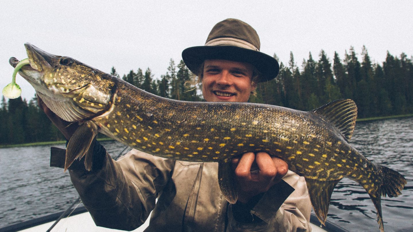Pike, fishing Lapland