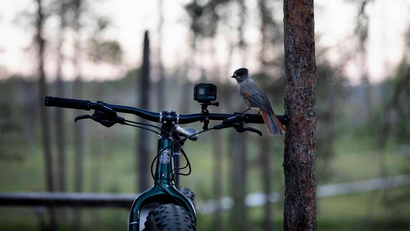 Summer biking, Lapland Finland