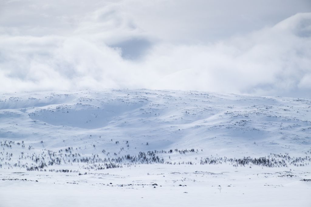 Ailakkavaara pohjoispuolelta kuvattuna