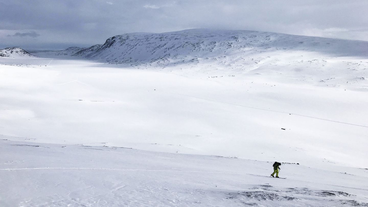 Skinnausta Termisjärven laaksossa