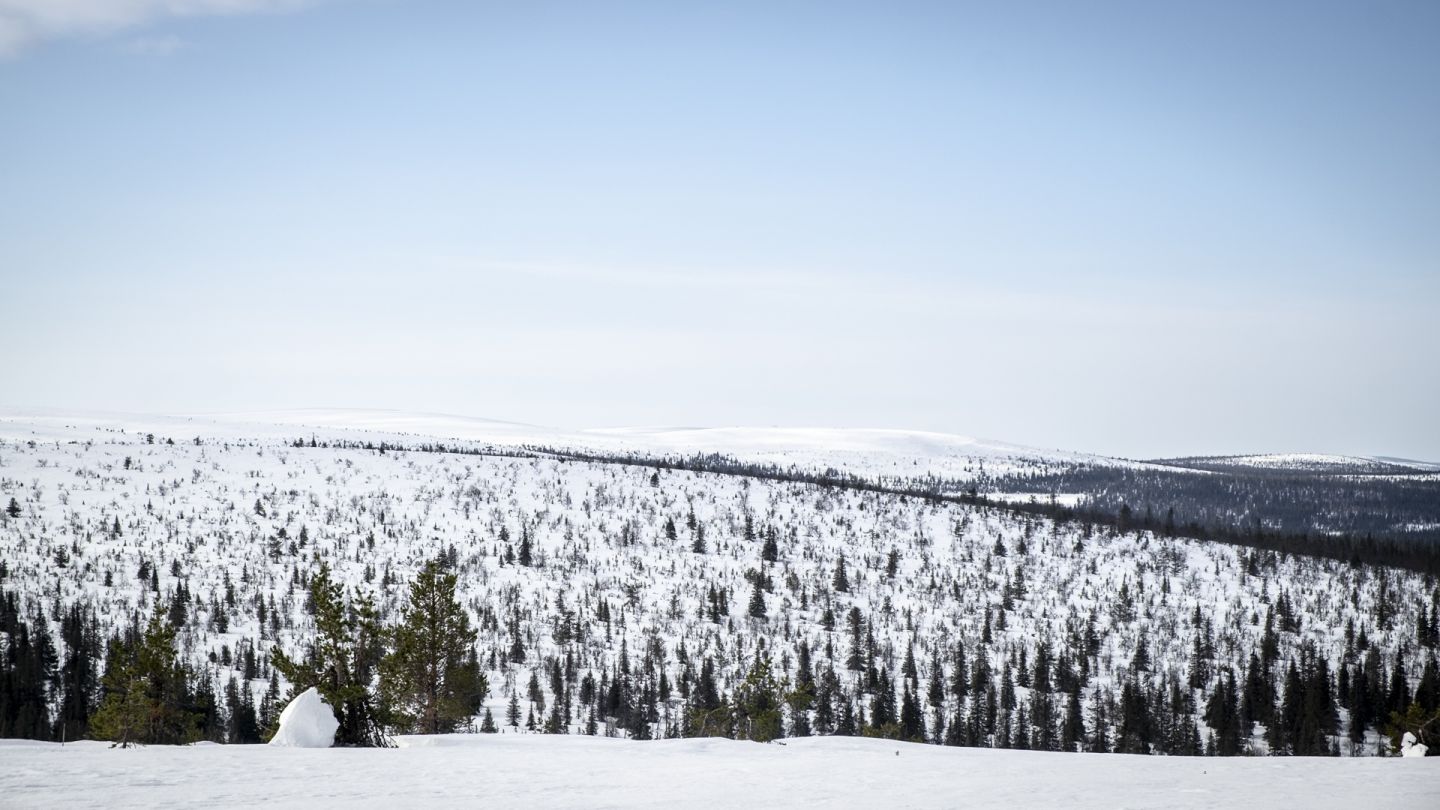 Värriötunturit