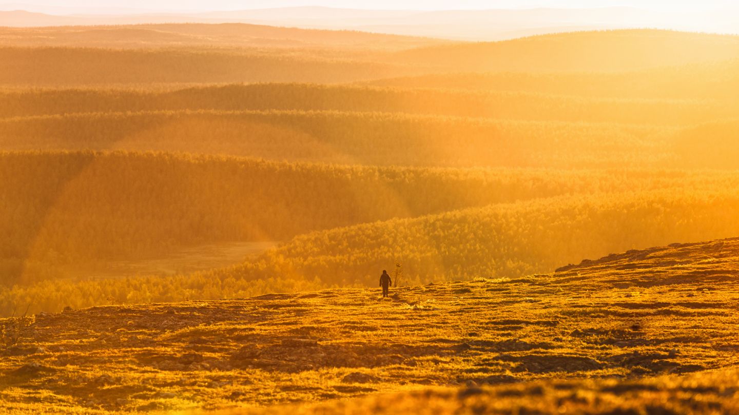 Lapland seasons, Midnight Sun