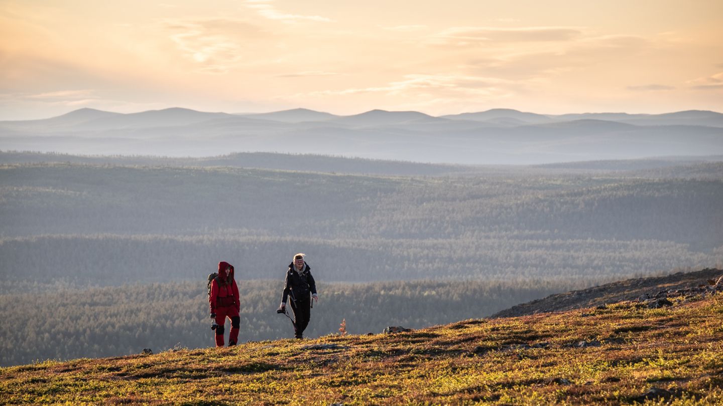 Yöttömän yön maisemat Lemmenjoen kansallispuistossa