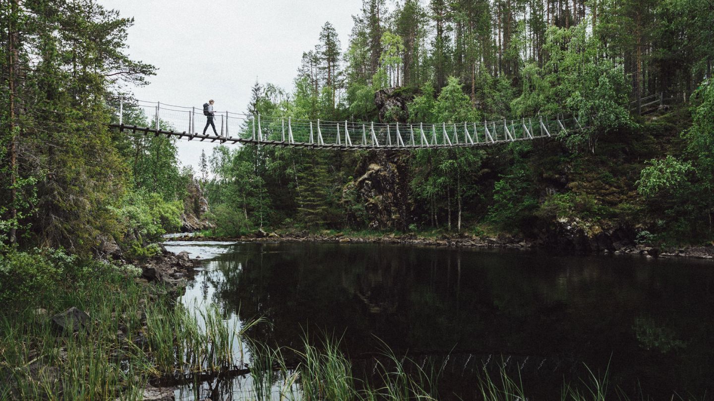 Hiking in Lapland, bridge