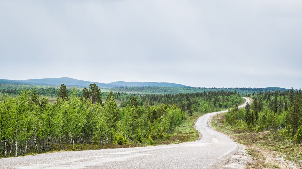 Lapin roadtrip Pokan tie