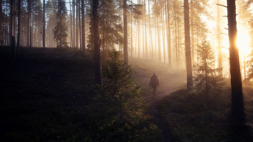 Hiking in Lapland in misty morning