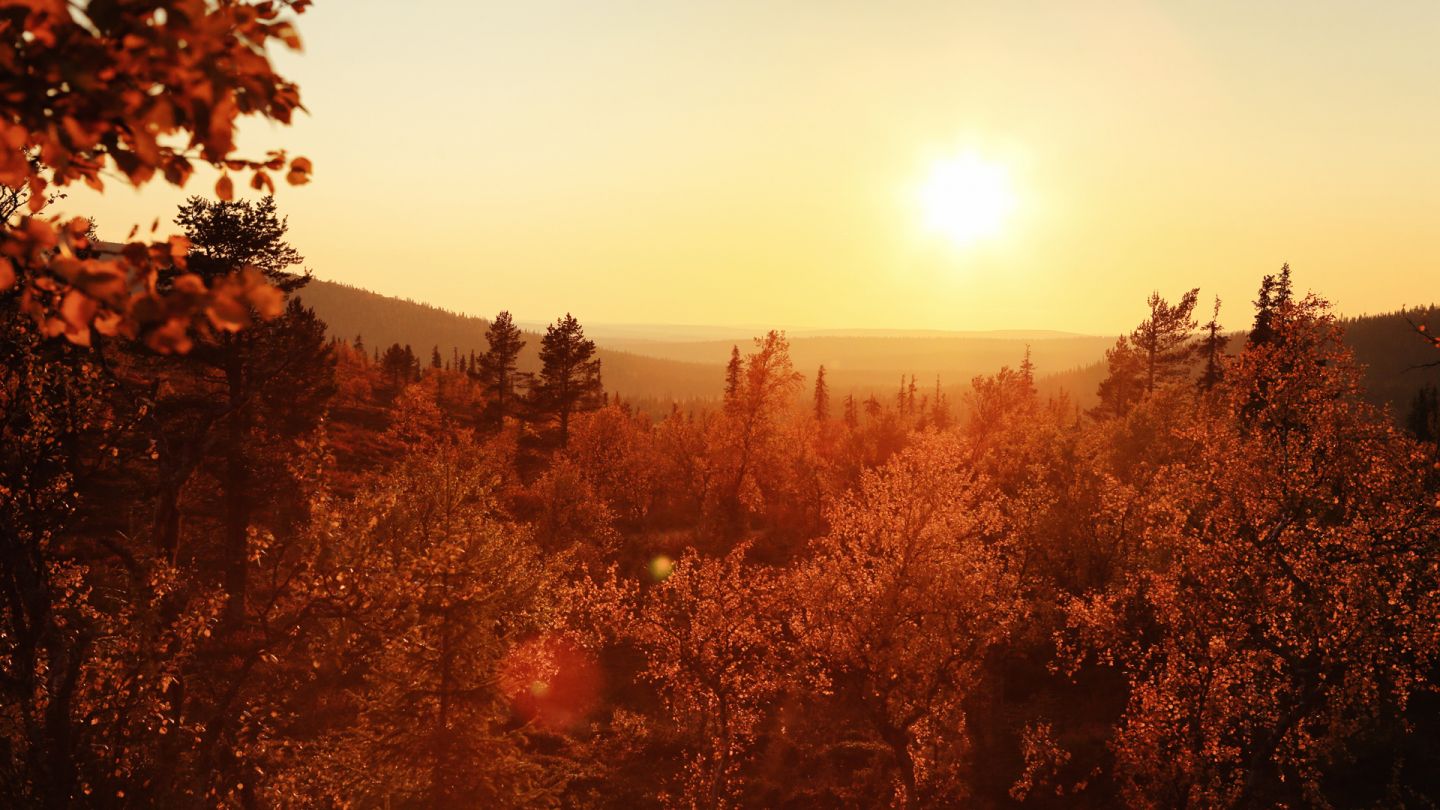 Lapland seasons, ruska