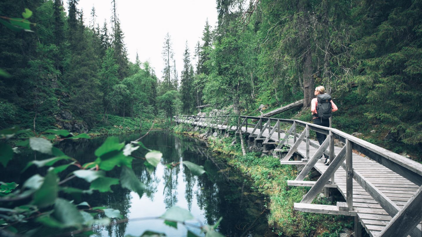 Pyhä-Luosto, beginner hiking Lapland, Finland