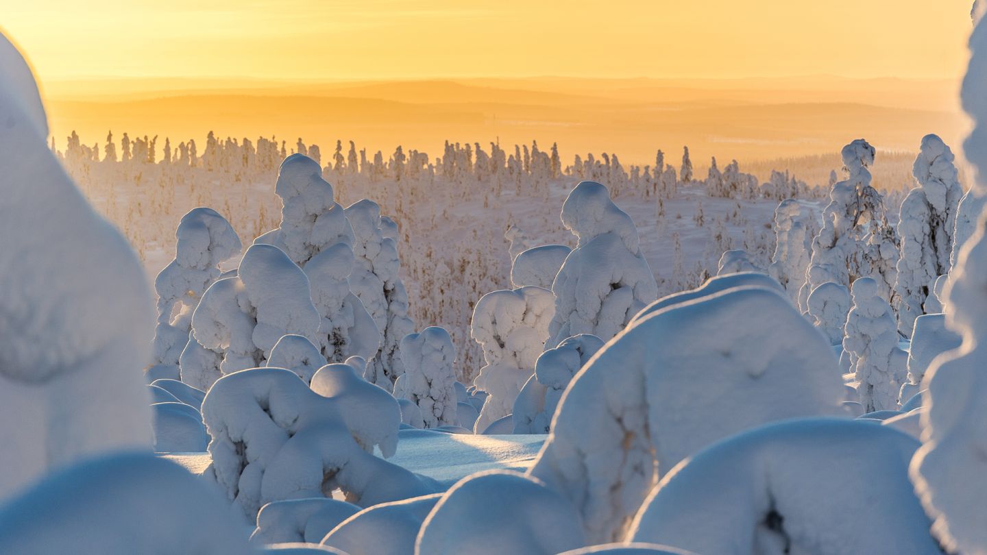 Lapland seasons, Winter Frost