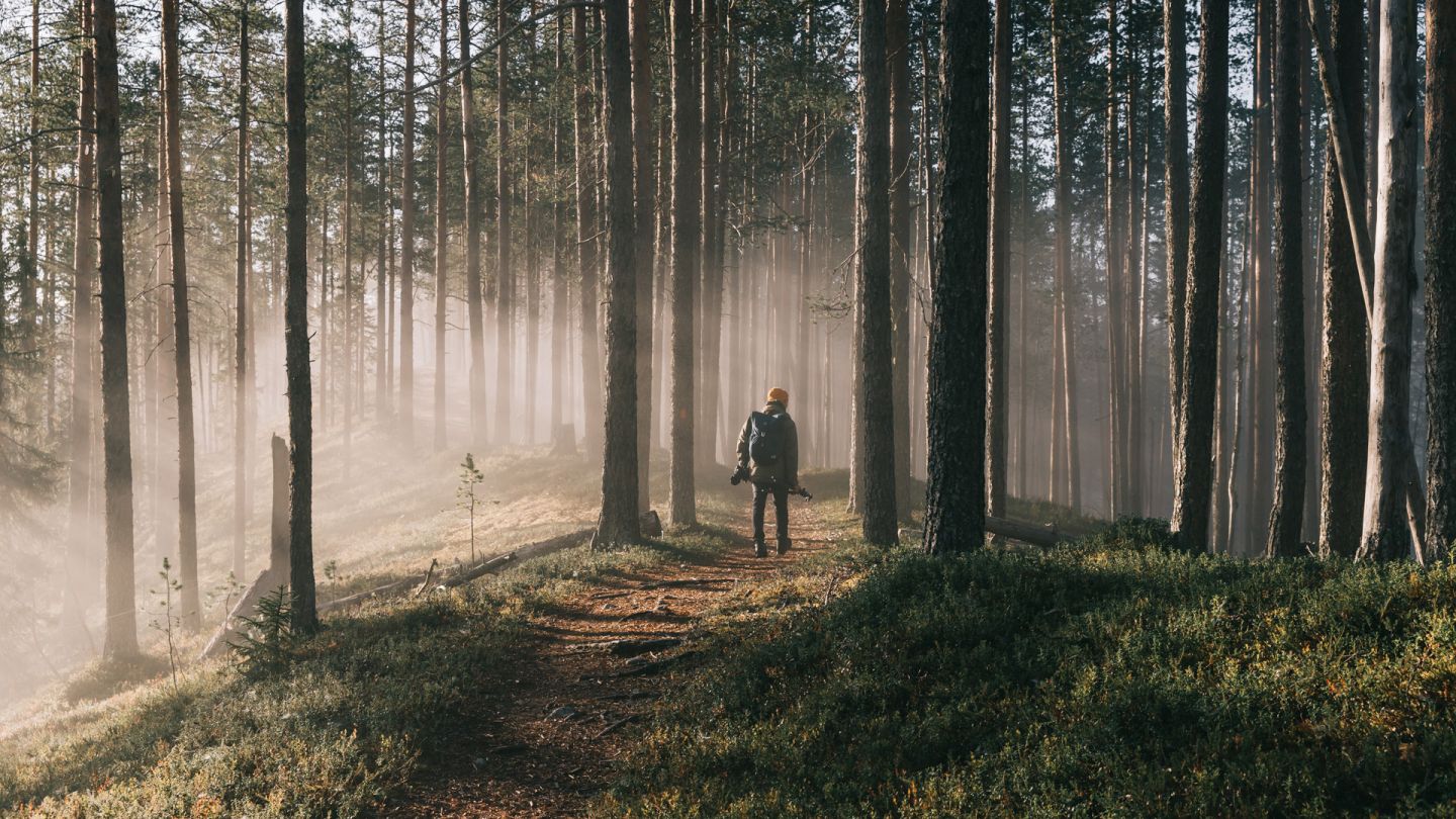 Beginner hiking Lapland, Finland