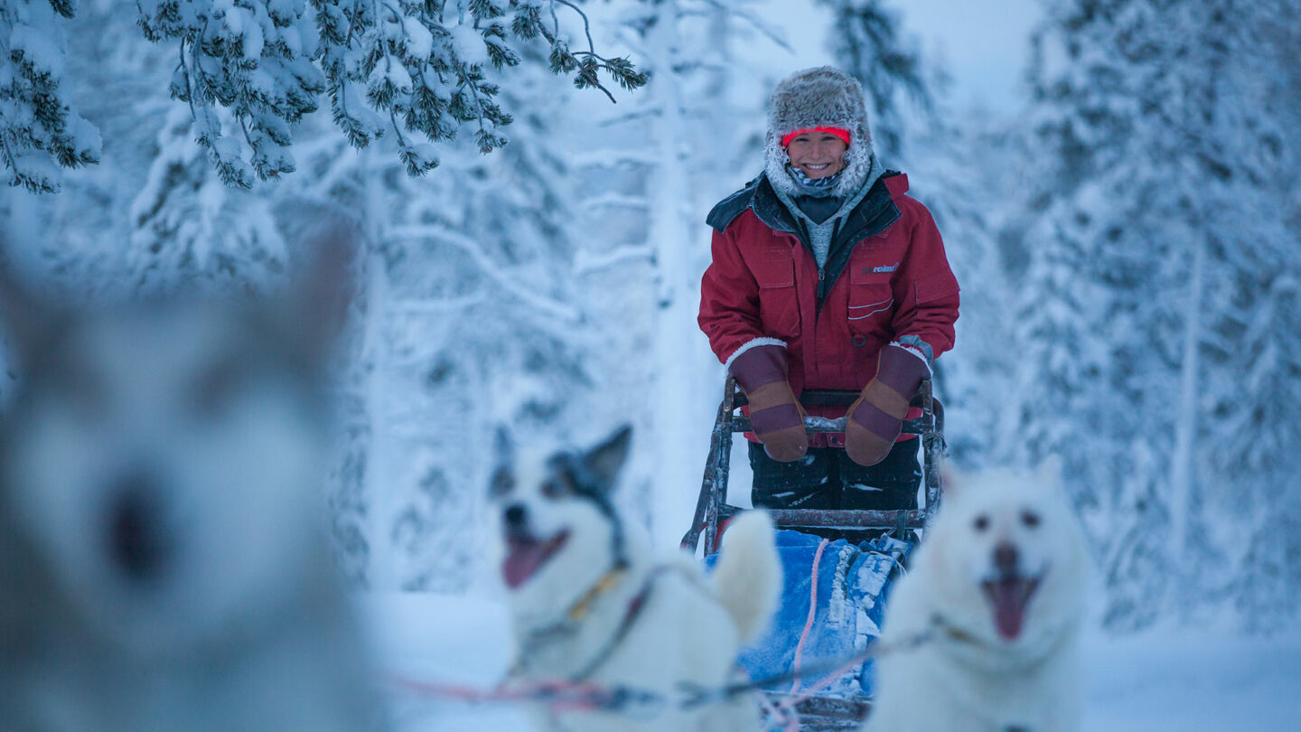 Husky rides, a perk of seasonal work in Lapland