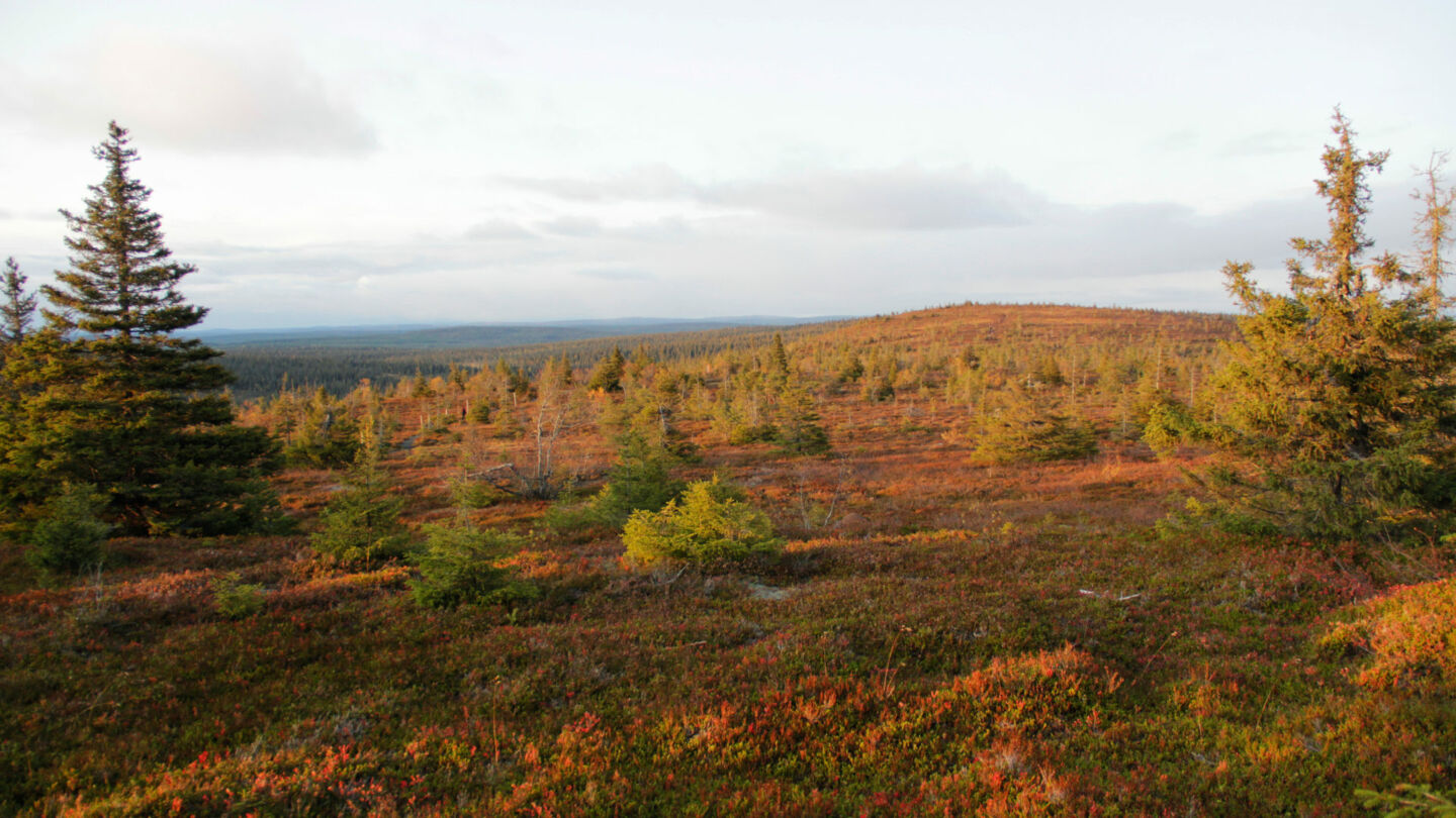 On Location in Finnish Lapland during the 2019 fall fam tour