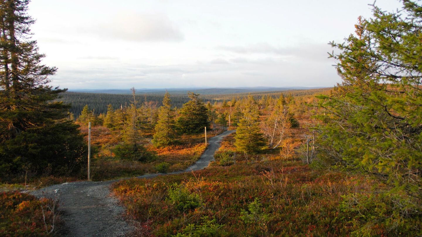 On Location in Finnish Lapland during the 2019 fall fam tour