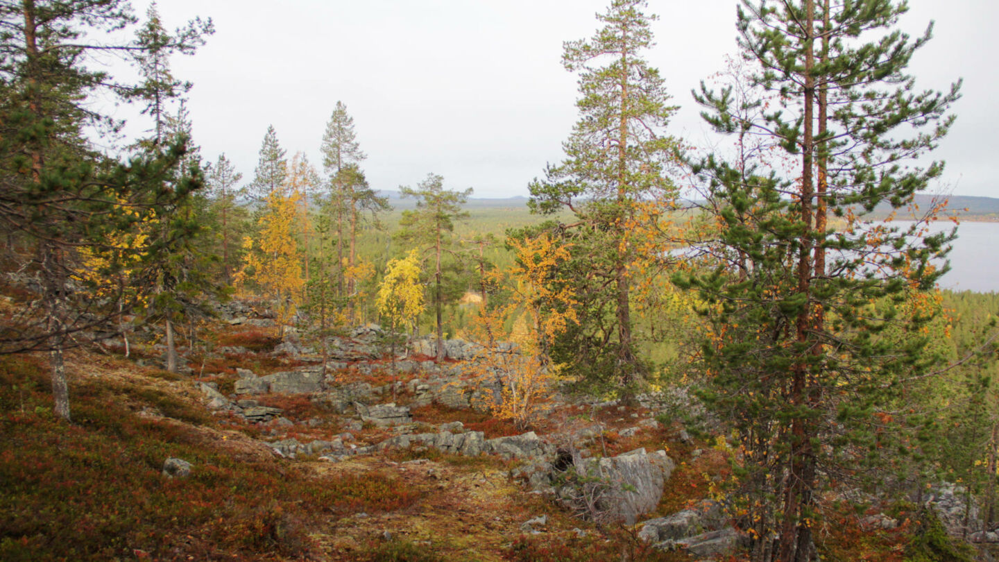 On Location in Finnish Lapland during the 2019 fall fam tour