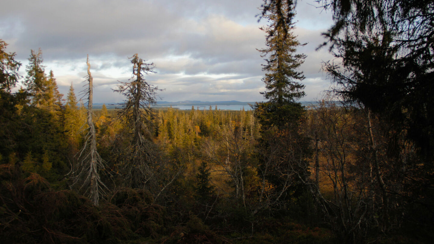 On Location in Finnish Lapland during the 2019 fall fam tour