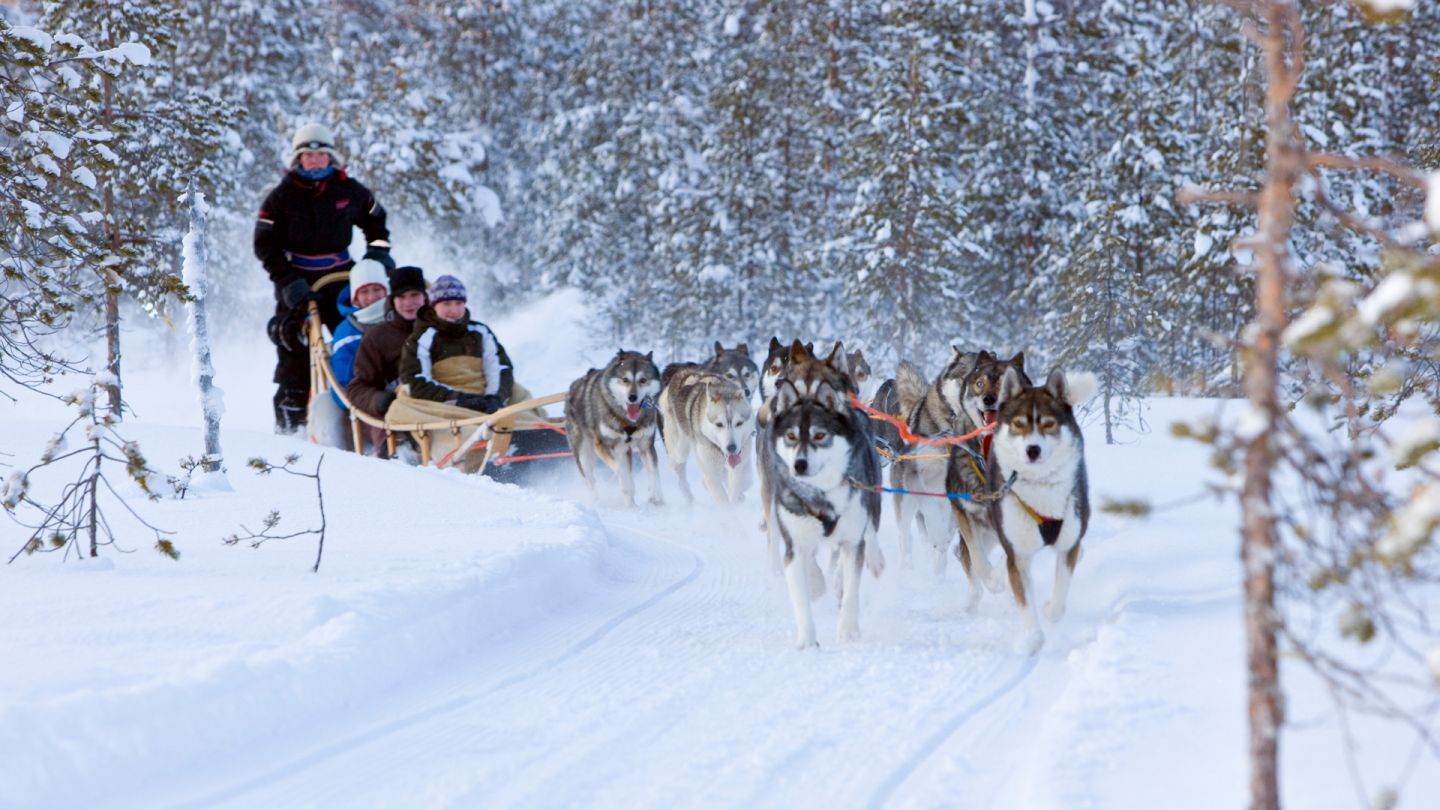 Husky ride, Kardashian Lapland Holiday