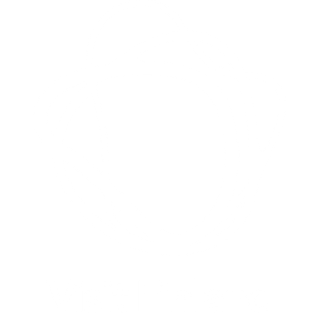 Visit Finland logo