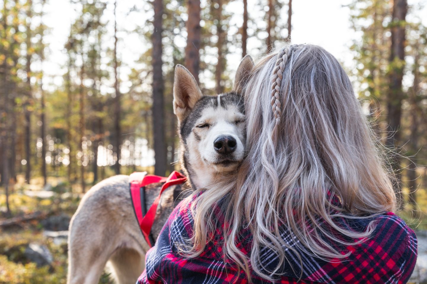 Husky walk Muonio, Carly Rae Jepsen Lapland Bucket List