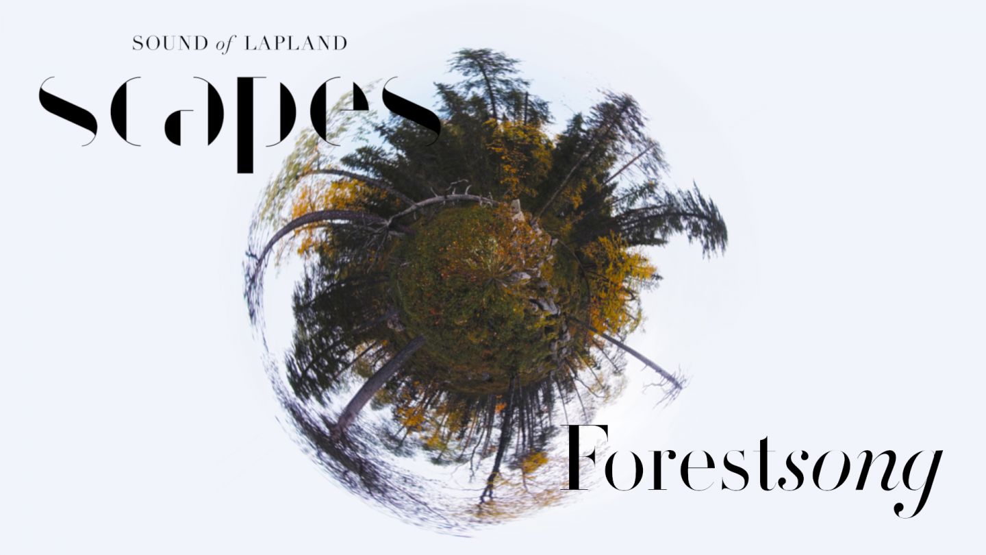 Forestsong, a 360 video, from SCAPES by Sound of Lapland