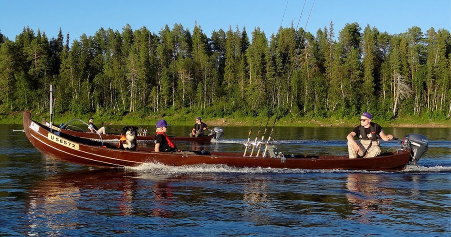 Fishing in Pello