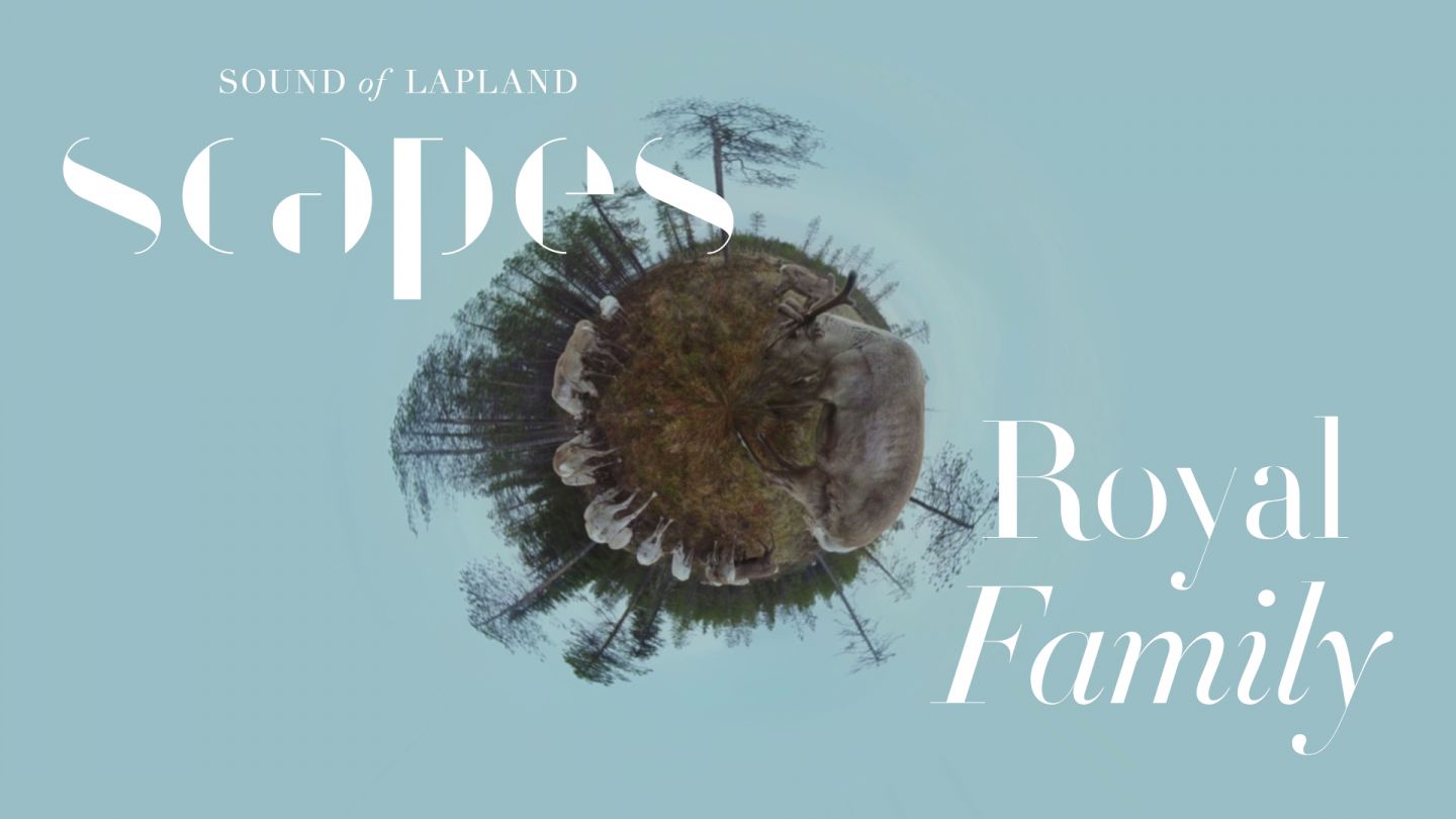 Royal Family, a 360 video, from SCAPES by Sound of Lapland