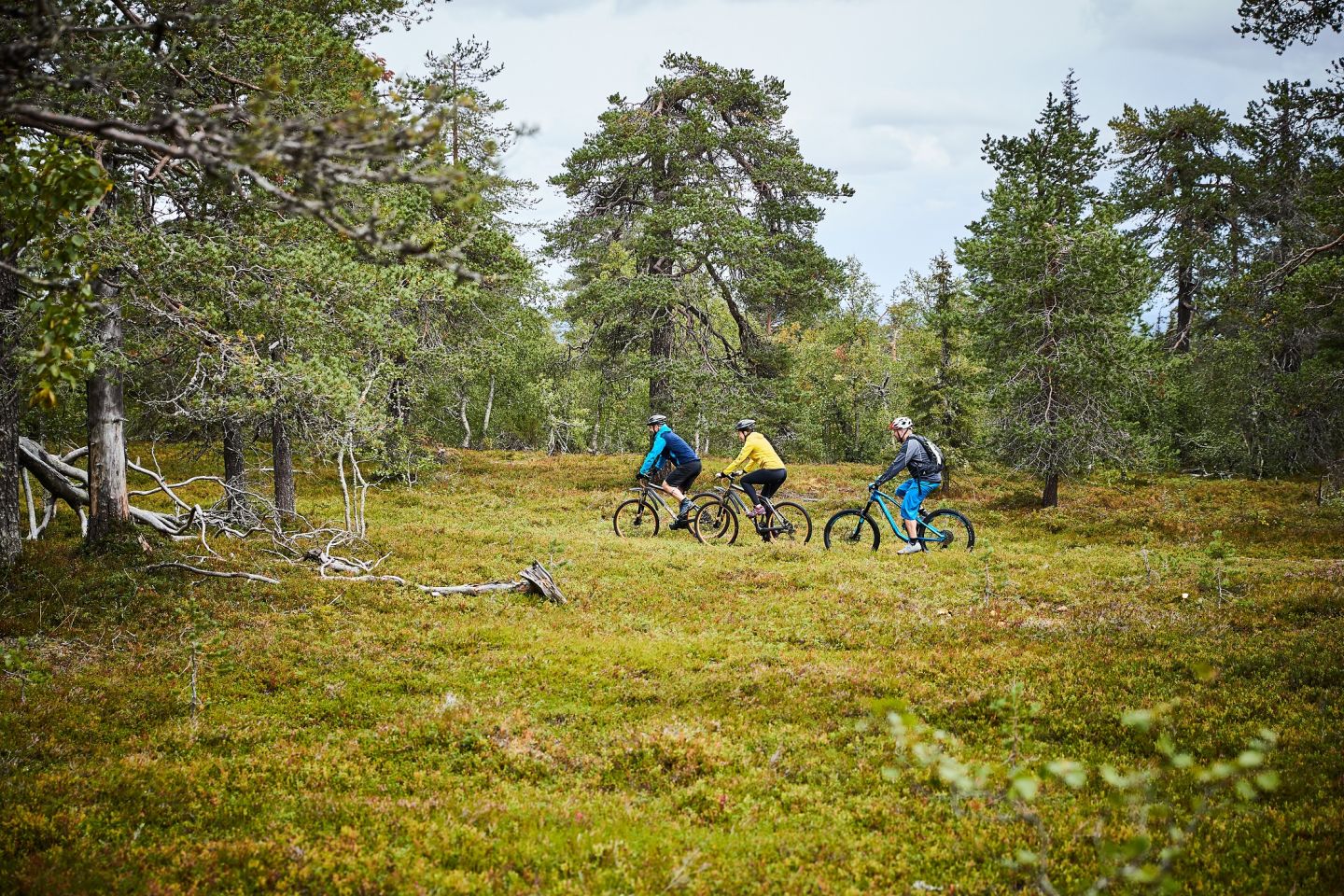 Biking through the Pyhä & Luosto wilderness