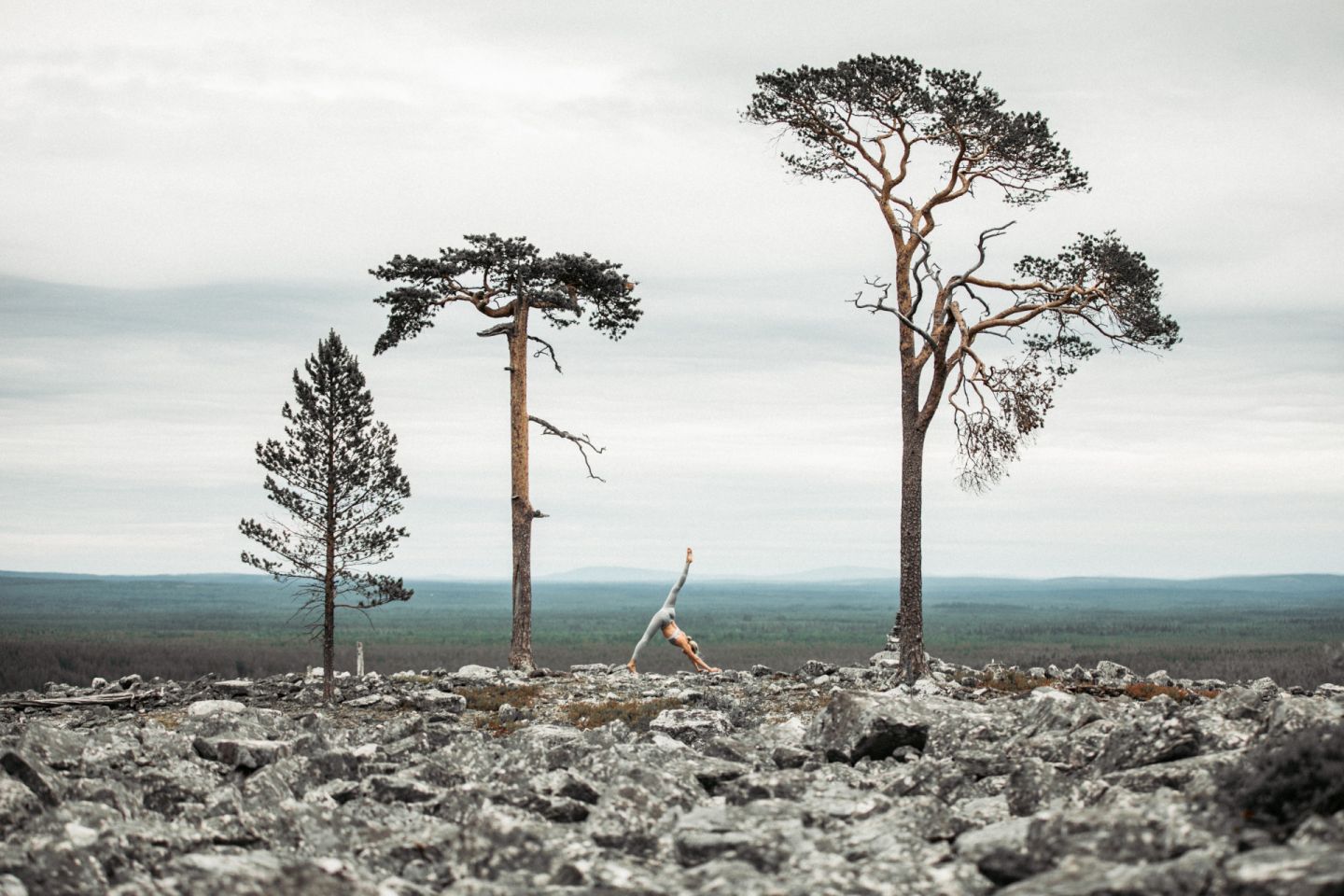 Felltop yoga in Finnish Lapland