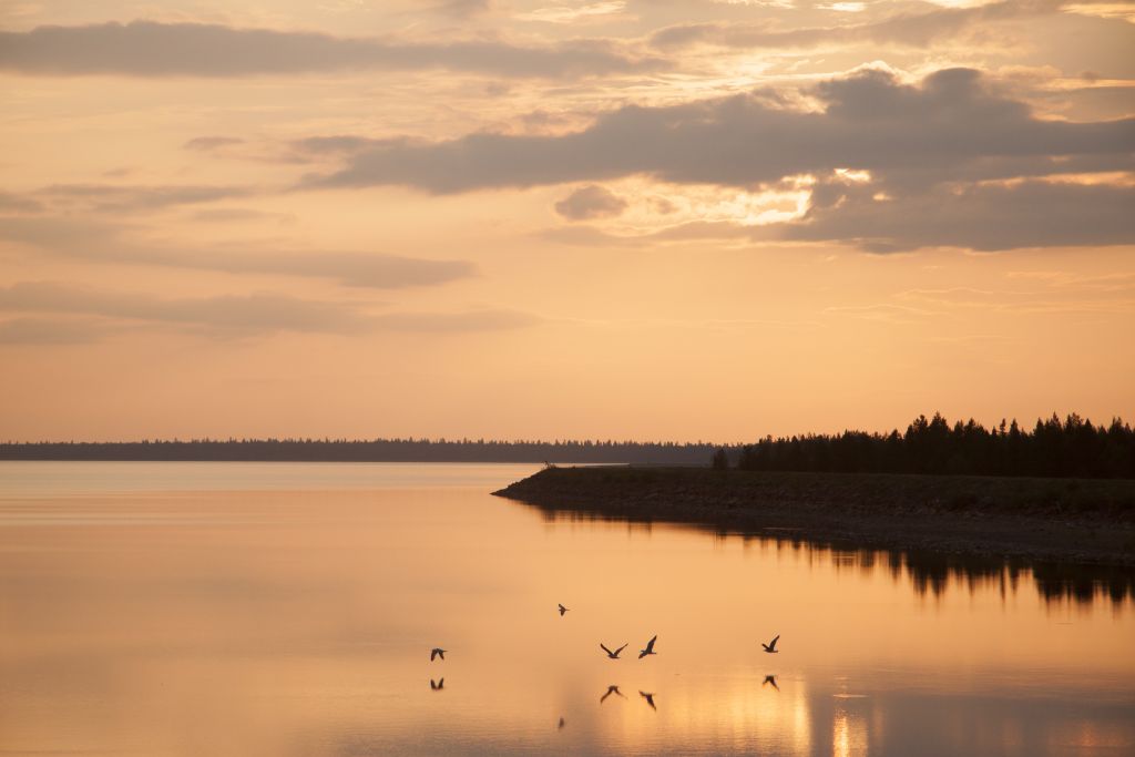 Kvartaalikatsaus Q2 House of Lapland