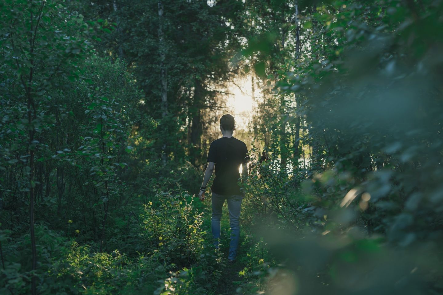 In the forest in Rovaniemi, Finland