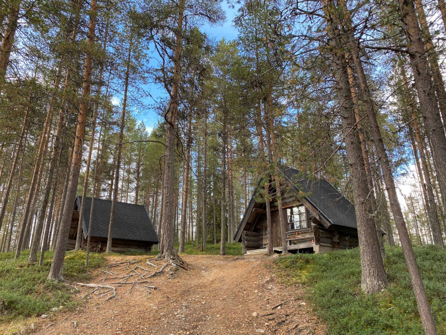 Cabins at Holiday Resort HImmerki in Posio, Finland