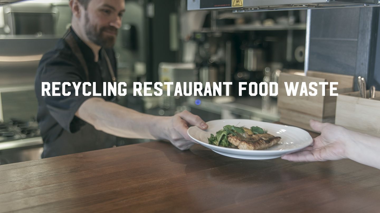 Restaurant food waste recycling