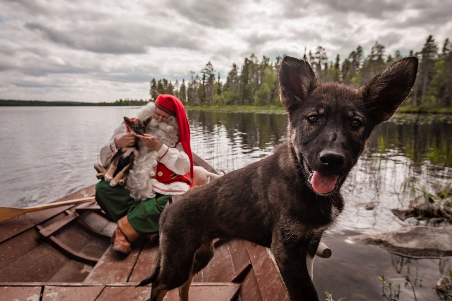 Santa Claus and huskies from Bearhill Husky in a rowboat in Rovaniemi, Finland