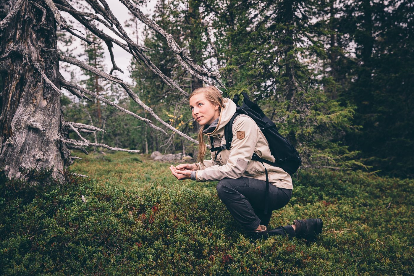 Hiking in Finnish Lapland