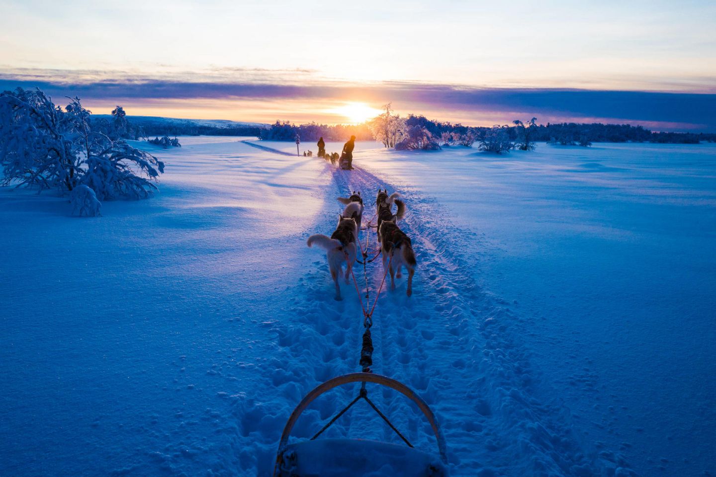 Hetta Huskies in Enontekiö, Finland